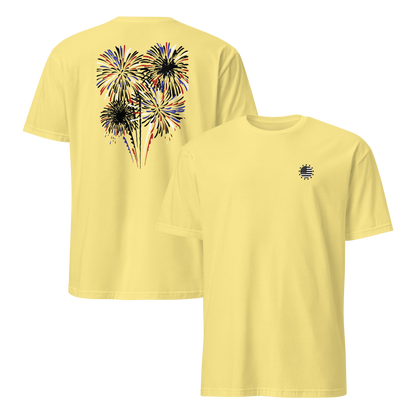 Classic Fireworks Show T-shirt